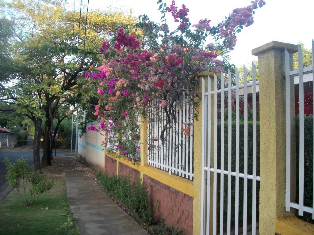 Hostal Casa Los Espinoza Managua Ngoại thất bức ảnh