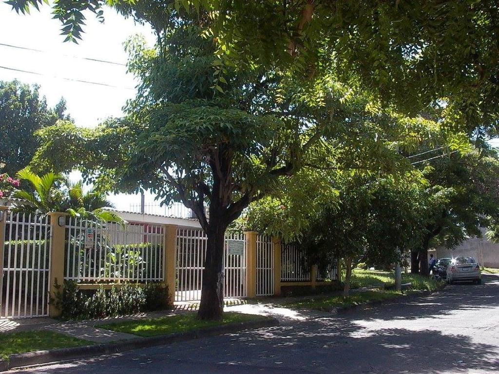 Hostal Casa Los Espinoza Managua Ngoại thất bức ảnh
